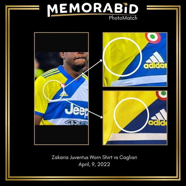 cover of the auction item