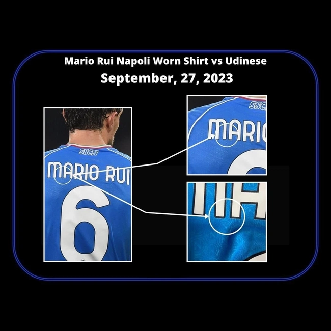 cover of the auction item